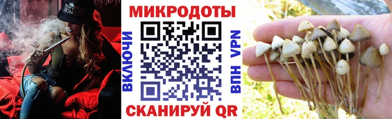 Галлюциногенные грибы ЛСД  Бобров 